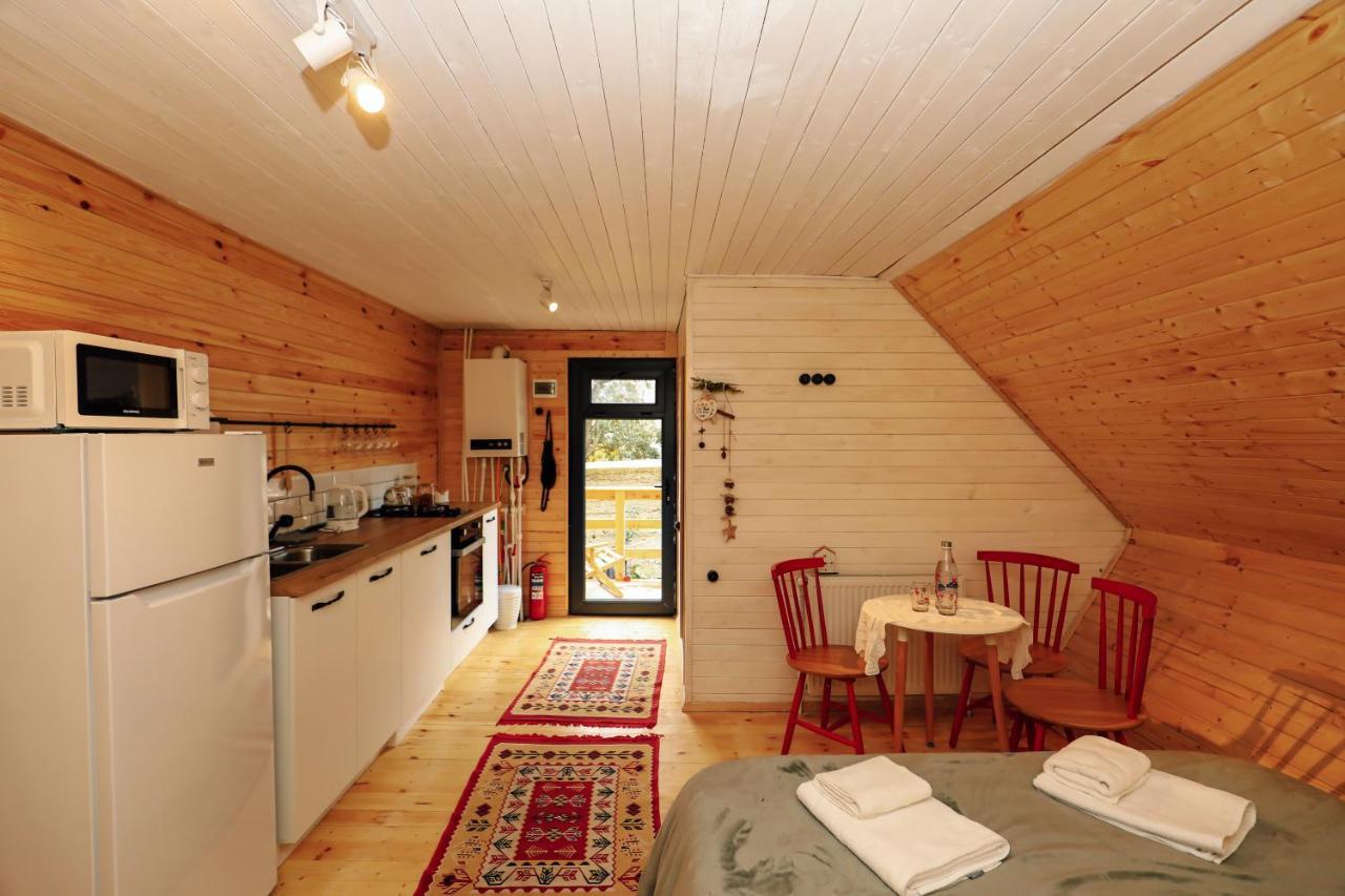 Wooden Cottage "Green House" In Bakuriani Luaran gambar