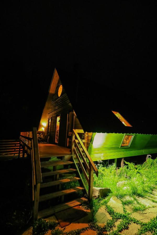 Wooden Cottage "Green House" In Bakuriani Luaran gambar