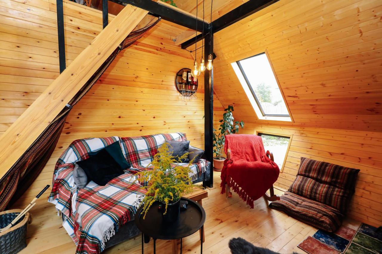 Wooden Cottage "Green House" In Bakuriani Luaran gambar