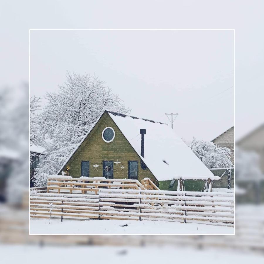 Wooden Cottage "Green House" In Bakuriani Luaran gambar