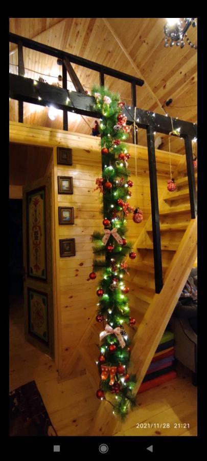 Wooden Cottage "Green House" In Bakuriani Luaran gambar